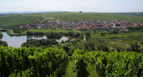 Vogelsburg