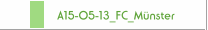 A15-05-13_FC_M&uuml;nster